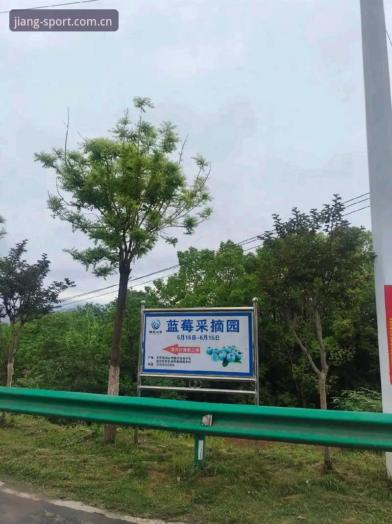 大江体育平台新版本全面解析：从下载到功能使用全指南